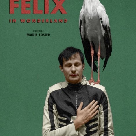 Felix in Wonderland