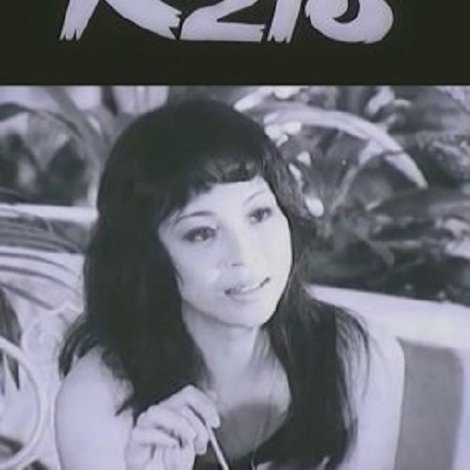 Người Mang Mật Danh K213