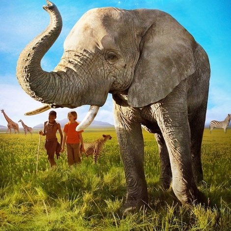 Magic Journey to Africa