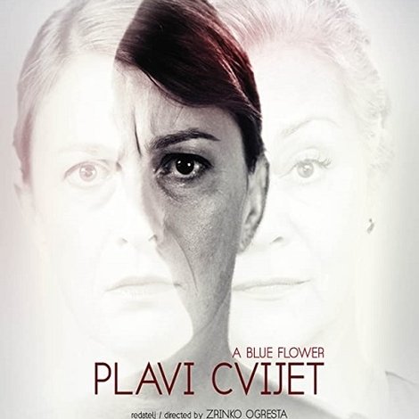 Plavi cvijet