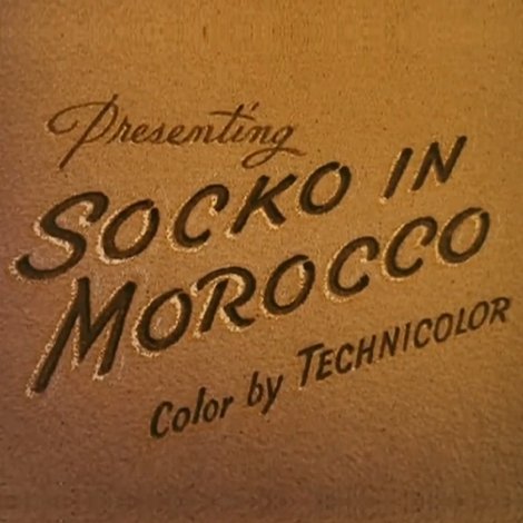 Socko in Morocco