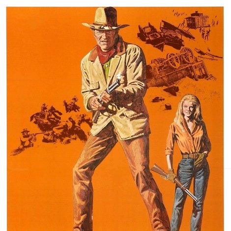 The Train Robbers