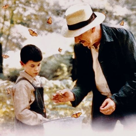 La lengua de las mariposas