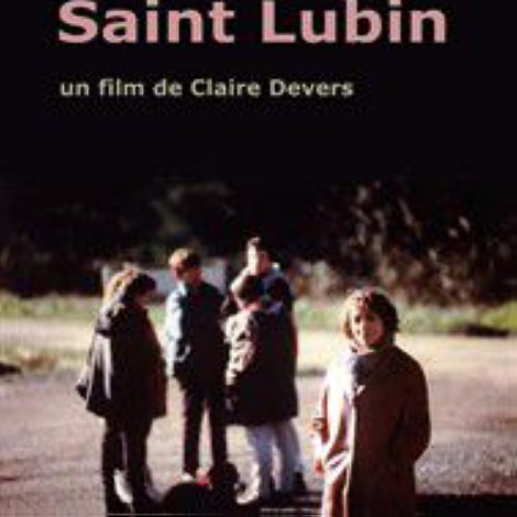 La voleuse de Saint-Lubin