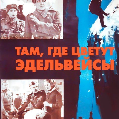 Там, где цветут эдельвейсы