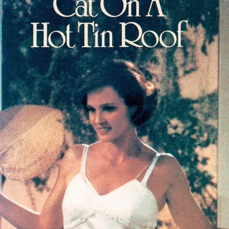 Cat on a Hot Tin Roof