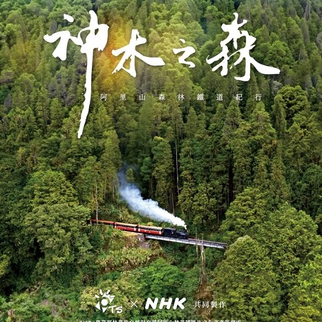 神木之森:阿里山森林鐵道紀行