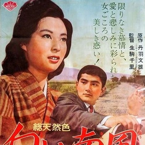 白い南風