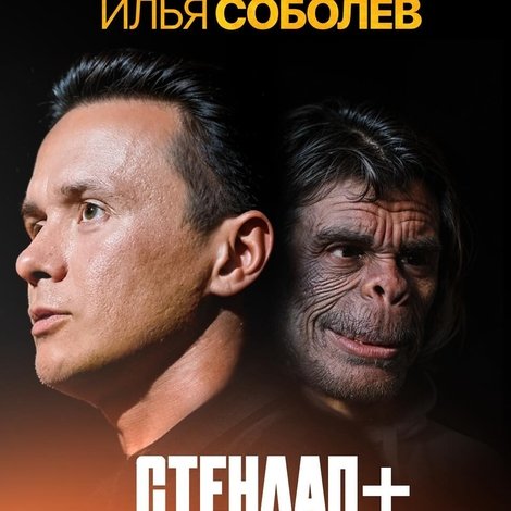 Илья Соболев: Эволюция