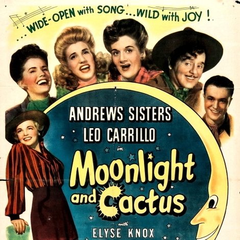 Moonlight and Cactus