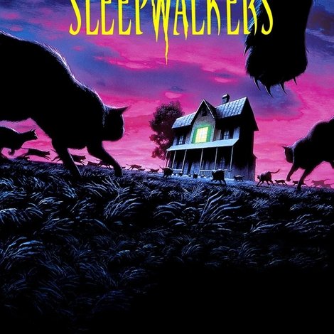 Sleepwalkers