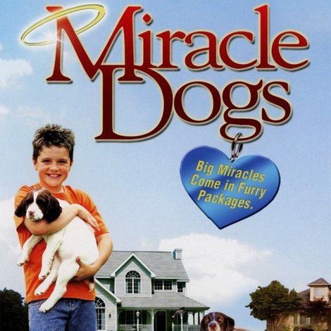 Miracle Dogs