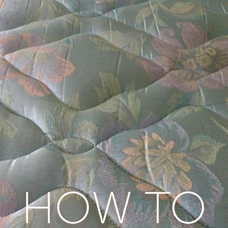 How to Live with Bed Bugs