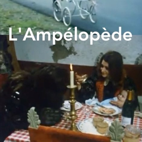 L'Ampélopède