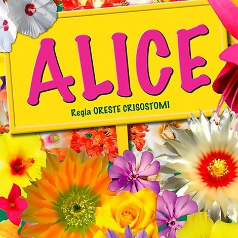 Alice