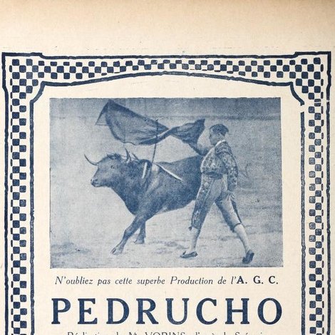 Pedrucho
