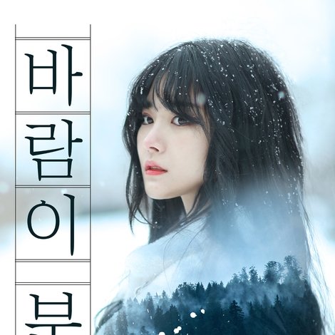 바람이 분다