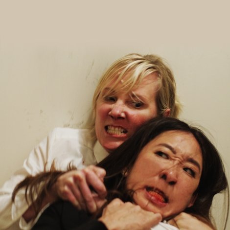 Catfight