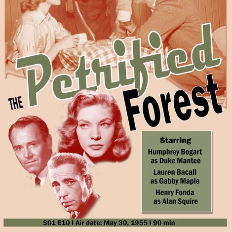 The Petrified Forest