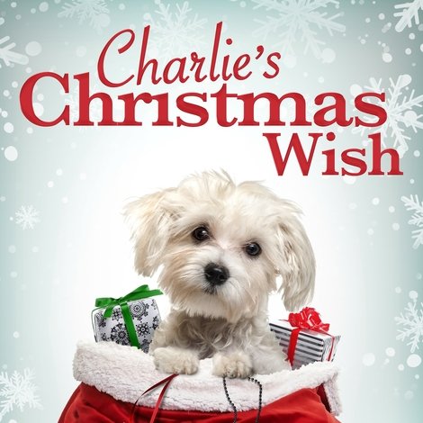 Charlie's Christmas Wish