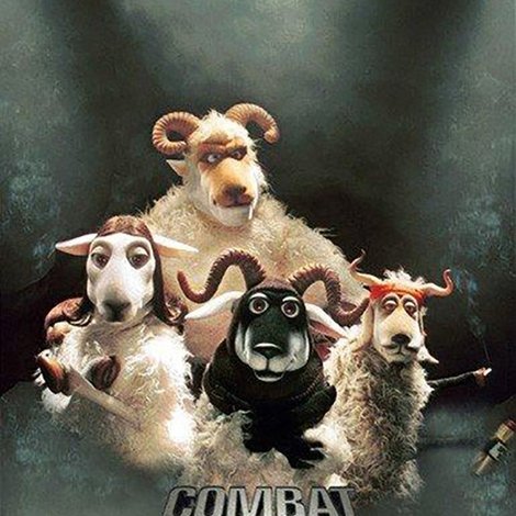 Combat Sheep