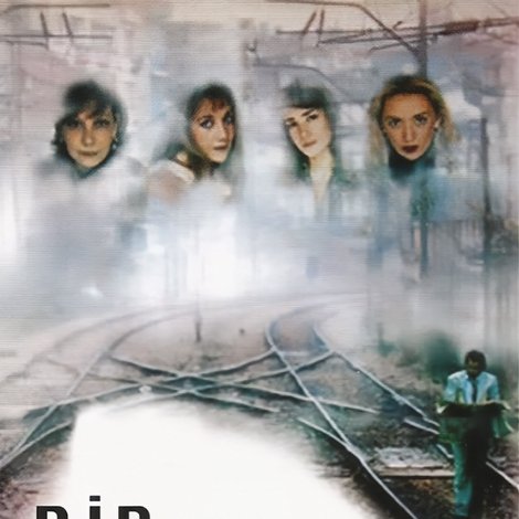 Bir ErkeÄŸin Anatomisi