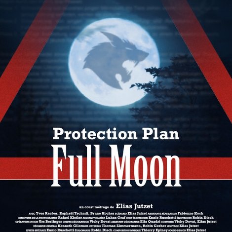 Schutzplan Vollmond