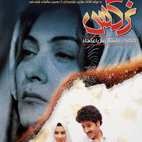 نرگس