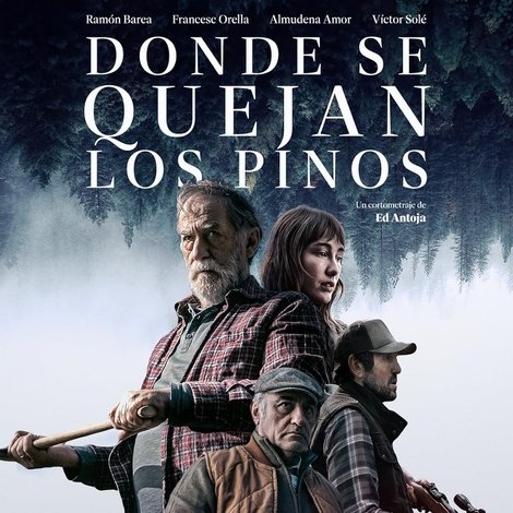 Donde se quejan los pinos