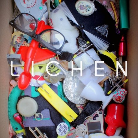 Lichen