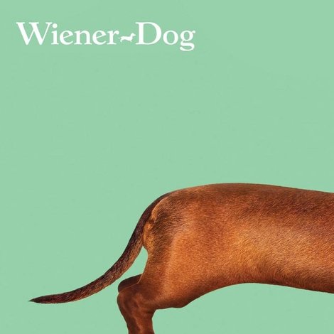 Wiener-Dog