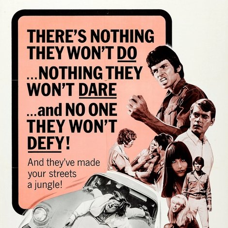 The Young Animals