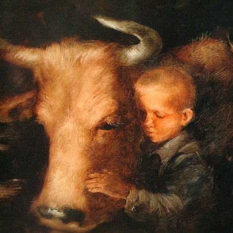 Корова
