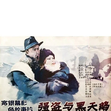 强盗与黑天鹅