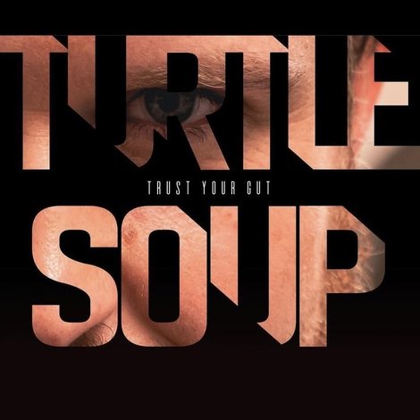 Turtle Soup