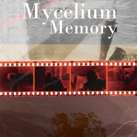 Mycelium Memory