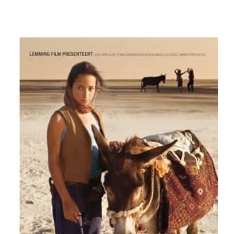 Donkeygirl