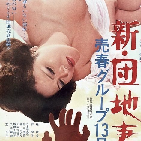 新・団地妻 売春グループ13号館