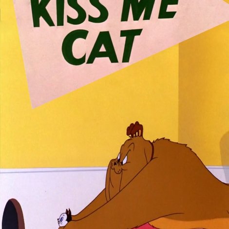 Kiss Me Cat