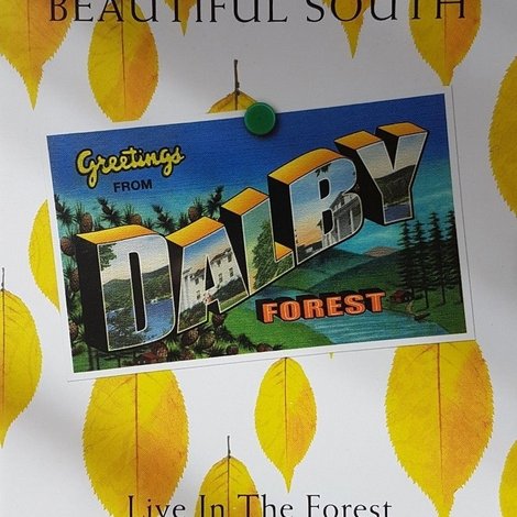 The Beautiful South: Live In The Forest