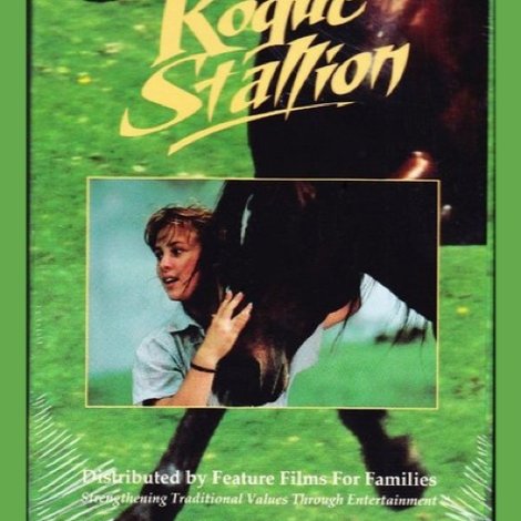 The Rogue Stallion