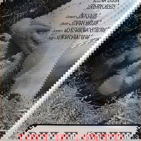 Divlje seme