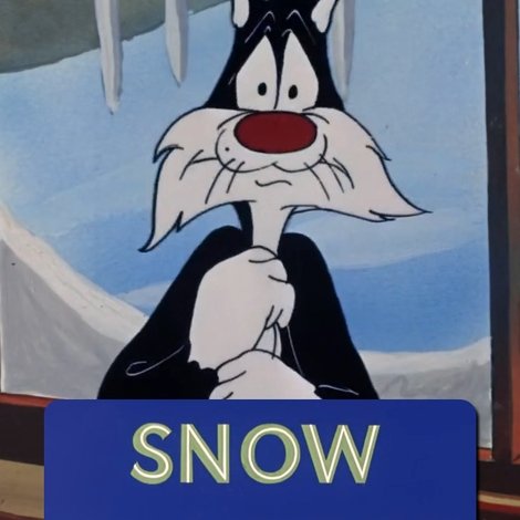 Snow Business