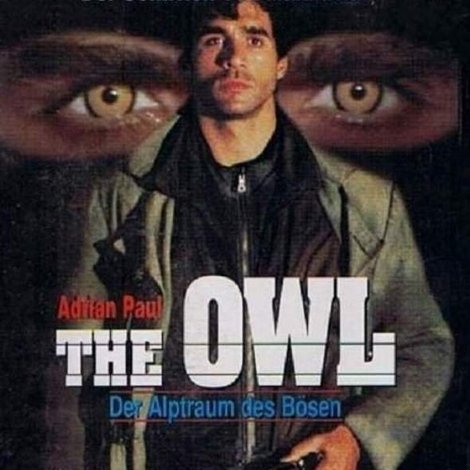 The Owl