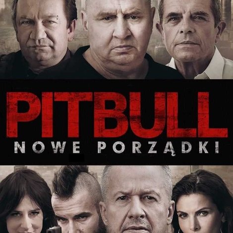 Pitbull. Nowe porządki