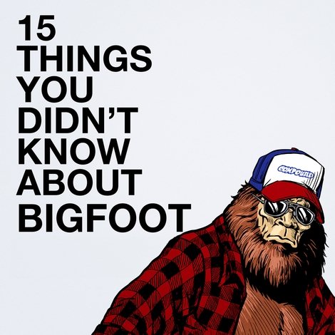 15 Things You Didn't Know About Bigfoot