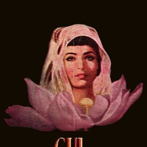 गुल-इ-बकावली