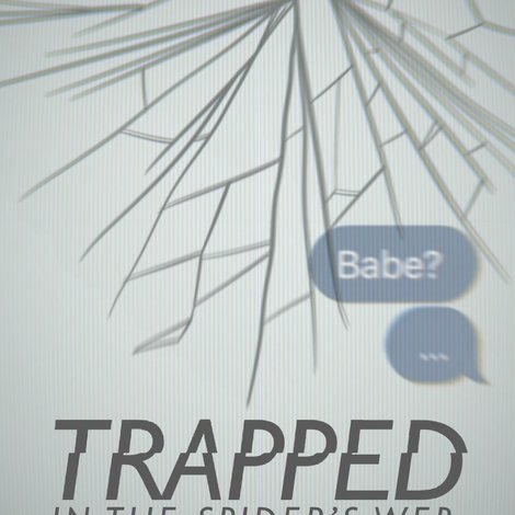 Trapped In The Spiders Web