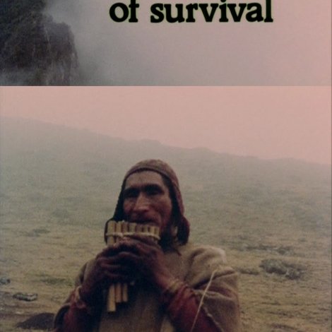 Q'eros: The Shape of Survival