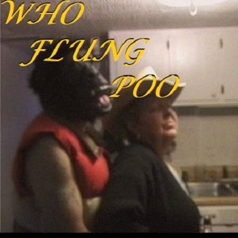 Who Flung Poo
